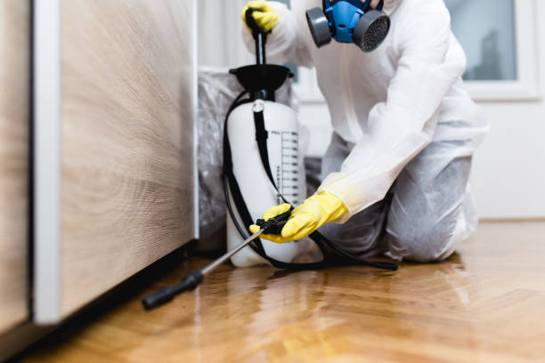 Best Residential Pest Control  in Kenhorst, PA