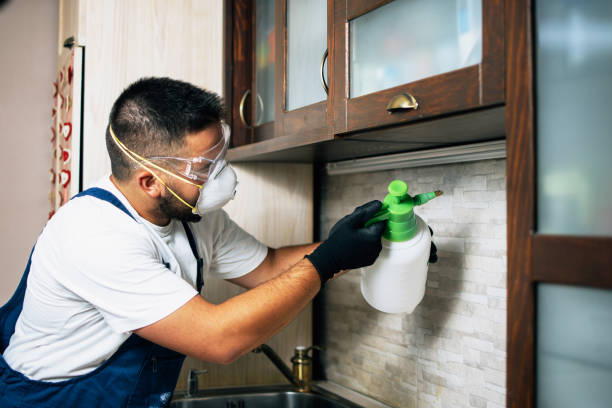 Best Residential Pest Control  in Kenhorst, PA