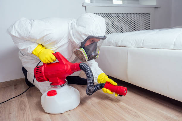 Best Local Pest Control Services  in Kenhorst, PA