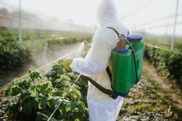 Best Residential Pest Control  in Kenhorst, PA